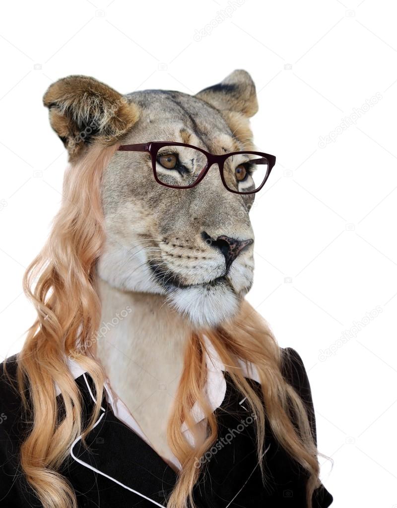 Amusing Lioness Secretary Concept