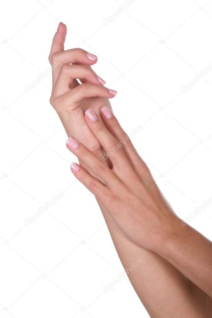 Lady's Manicured Hands