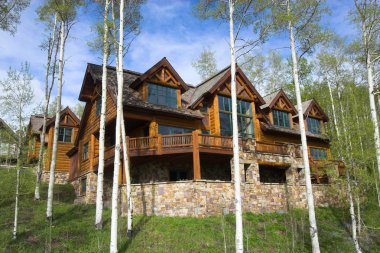 Mountain resort ev