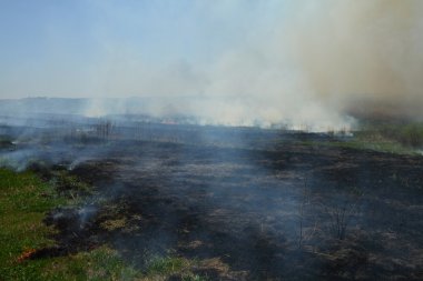 Prairie Fire