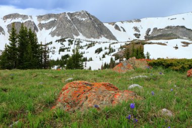 wyoming in dağ manzarası