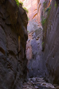kanyonun içinde yürüyüşçü