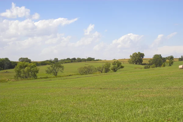 Сільгоспугідь і полів — стокове фото