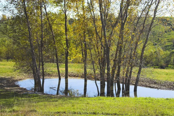 Herbstsee — Stockfoto