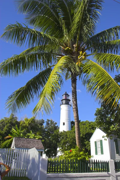 Latarnia morska i palmy — Zdjęcie stockowe