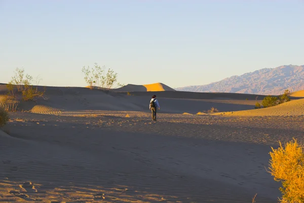 Paysages de sable de la vallée de la mort — Photo