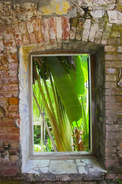 Architektura tropikalny — Zdjęcie stockowe