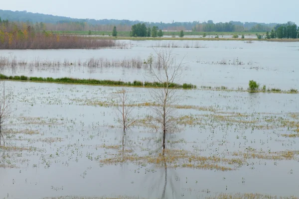 Povodeň v midwest — Stock fotografie