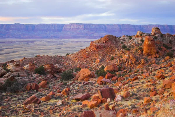 Grand Canyon — Stockfoto