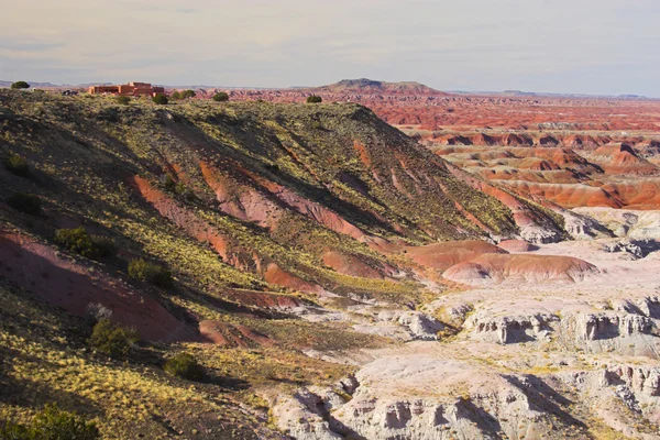 Painted desert — Stock Photo, Image