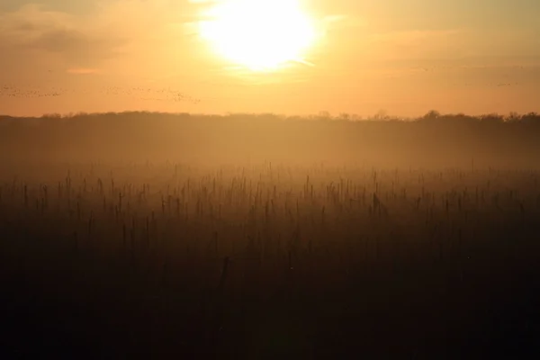 Puesta de sol —  Fotos de Stock