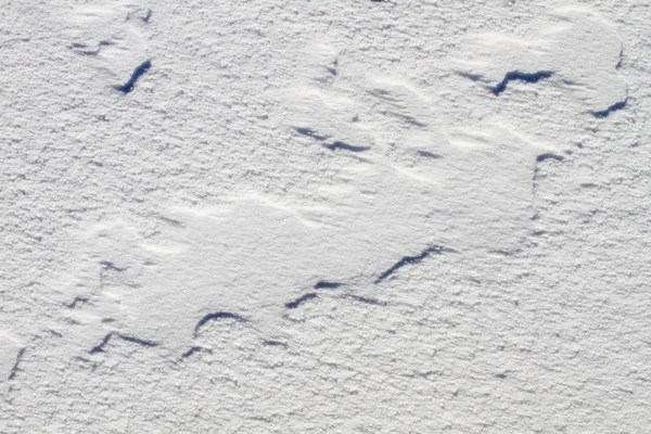Nieve — Foto de Stock