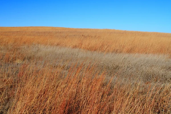 Farm in autumn — Stock Photo, Image