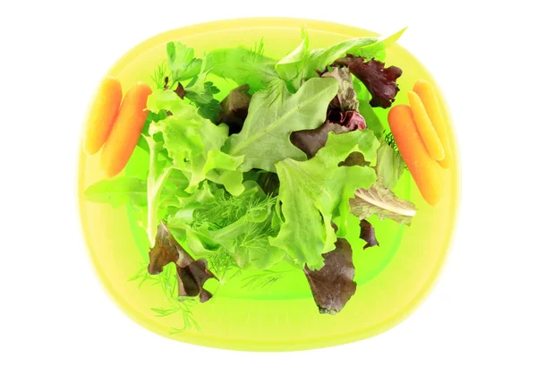 Зеленый салат на белом фоне — стоковое фото
