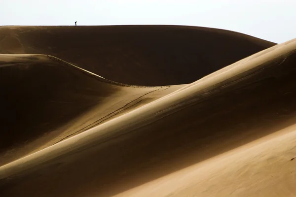 Caminhando em dunas de areia — Fotografia de Stock