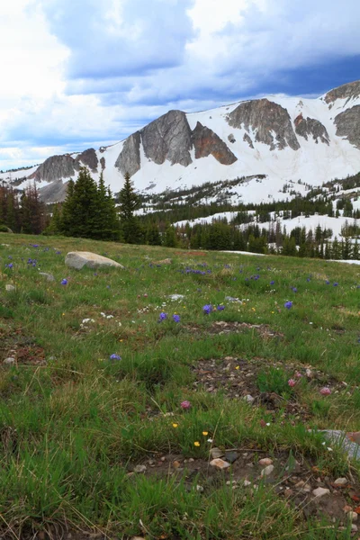 Paisagem montanhosa de Wyoming — Fotografia de Stock