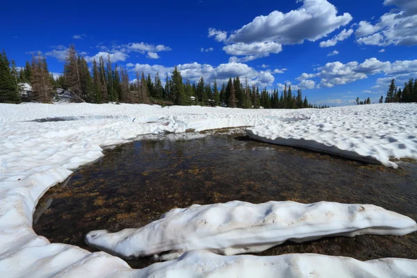 Melting snow in the mountains — Stock Photo, Image