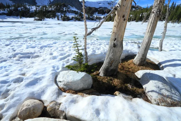 Derretimiento de nieve en las montañas —  Fotos de Stock