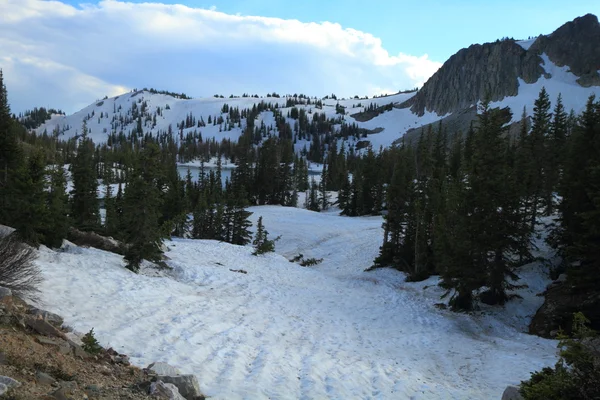 Mountain landscape — Stock Photo, Image