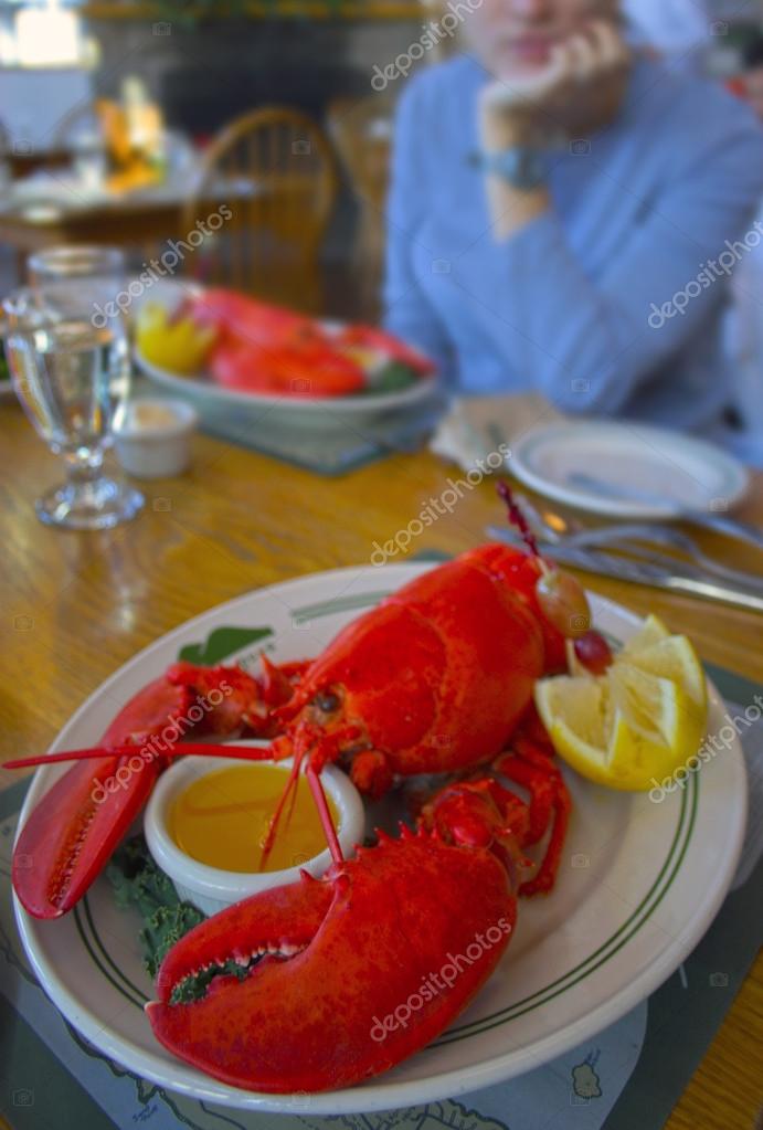maine lobster — 图库照片 #13905261