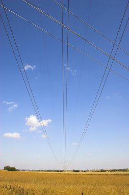 Powerlines