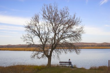Prairie ağaçlar