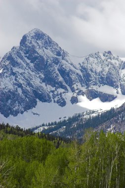 dağ manzarası ve çit