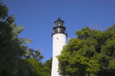 Deniz feneri ve avuç içi