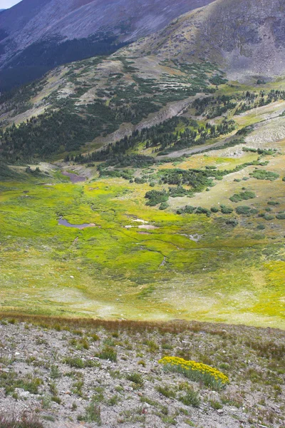 Осень в горах — стоковое фото