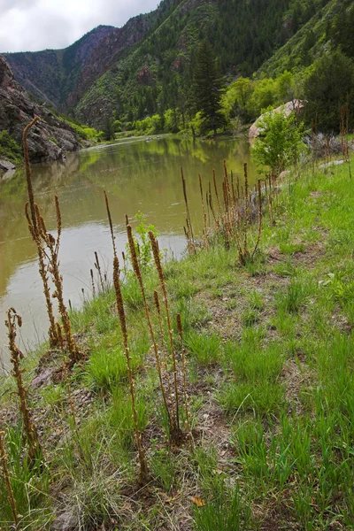 Ribera del río Gunnison —  Fotos de Stock