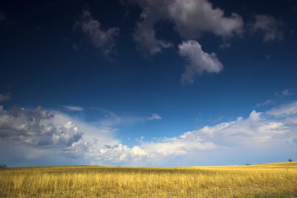 Zona rural. — Foto de Stock