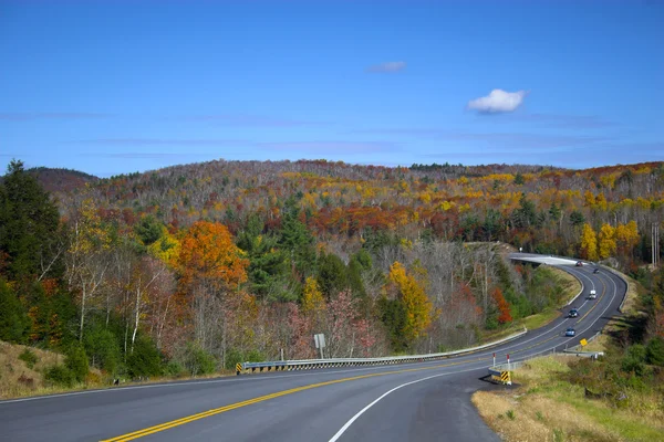 Couleurs de feuillage automne — Photo