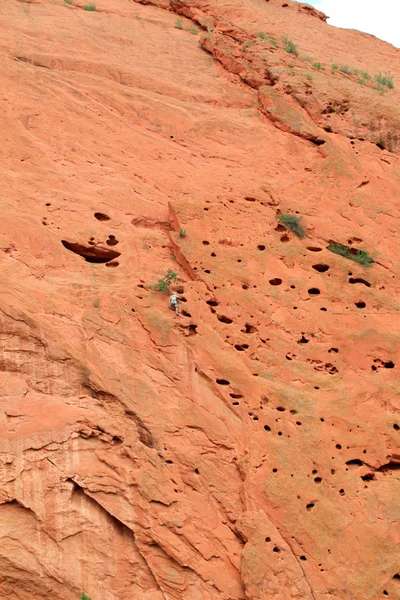 Скеля climber в сад богів — стокове фото