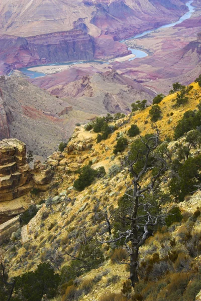 Grand Canyon — Stock Photo, Image