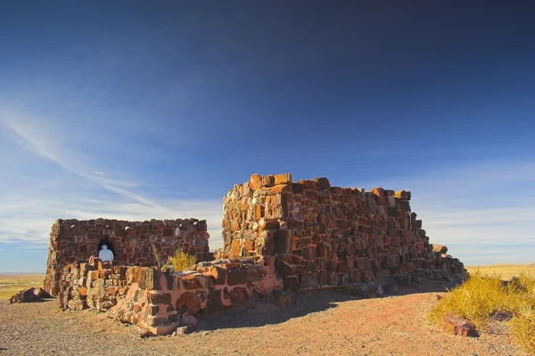 Petrified forest — Stock Photo, Image