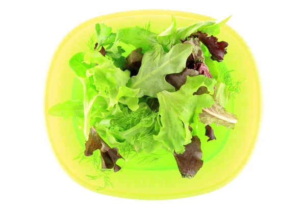 Groene salade op witte achtergrond — Stockfoto