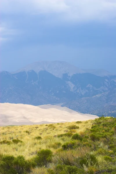 Oasis in sand dunes — Stock Photo, Image