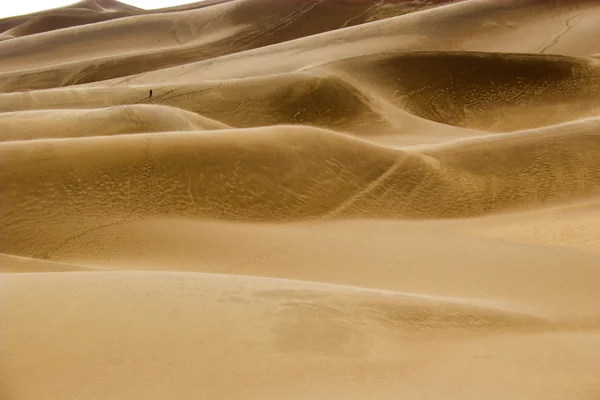 Caminhando em dunas de areia — Fotografia de Stock