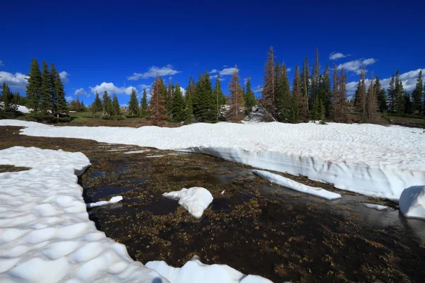 Melting snow in the mountains — Stock Photo, Image