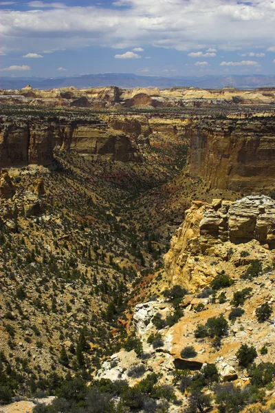 Колорадо Национальный памятник — стоковое фото