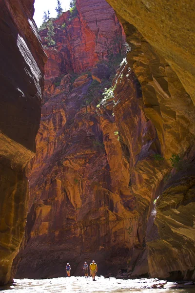 峡谷小溪和河流 — 图库照片