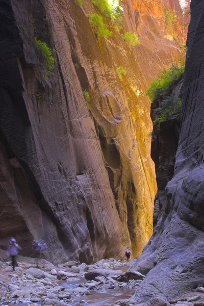 在峡谷内徒步旅行者 — 图库照片