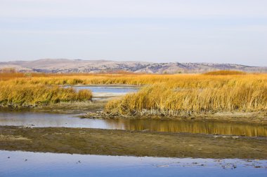 Prairie göller ve nehirler