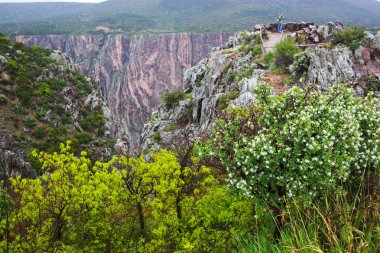 Gunnison Milli Parkı gorge
