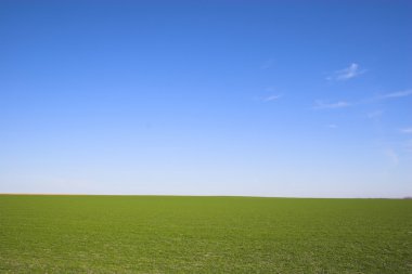 Farmscape