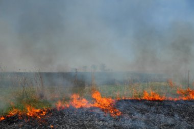 Prairie Fire