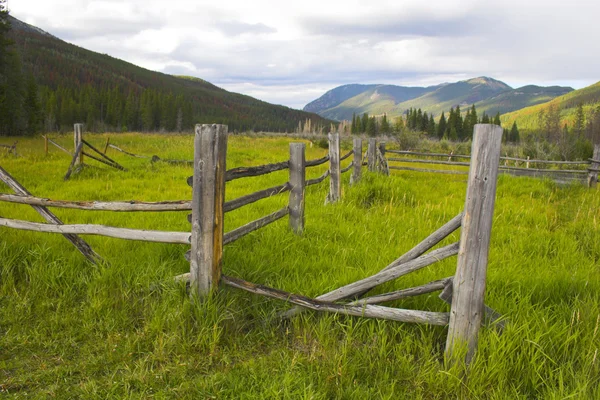 Outono nas montanhas — Fotografia de Stock