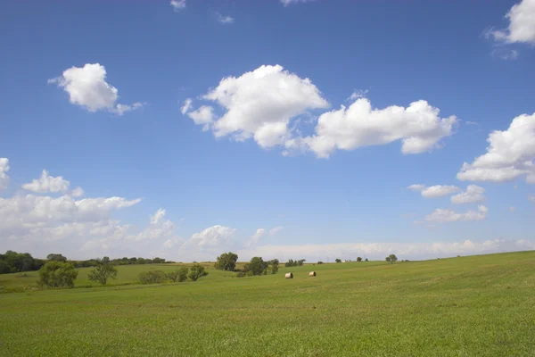 Tarım arazileri ve alanlar — Stok fotoğraf