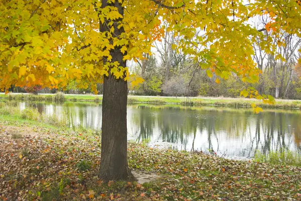 Herfst lake — Stockfoto