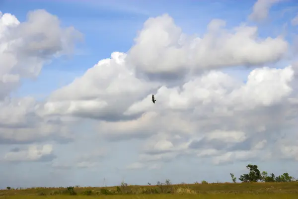 Wolkenlandschap — Stockfoto